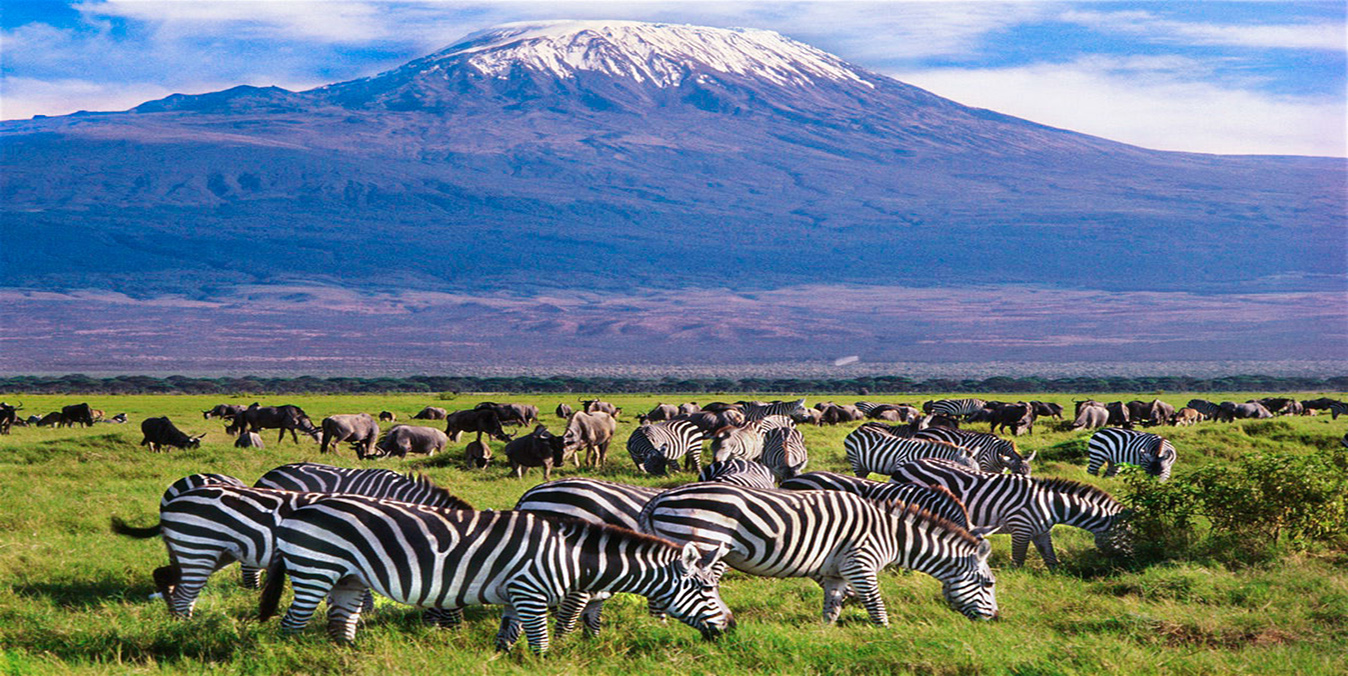Kenya Tour Package